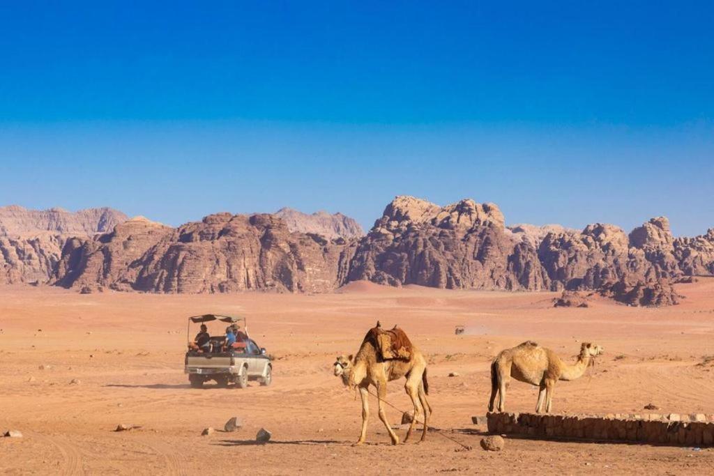 亚喀巴 Bedouins Life Camp酒店 外观 照片