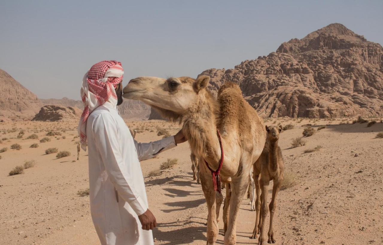亚喀巴 Bedouins Life Camp酒店 外观 照片